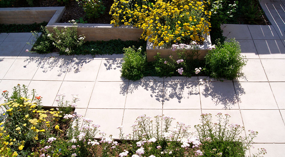 paved yard with concrete plant beds and a variety of flowers.