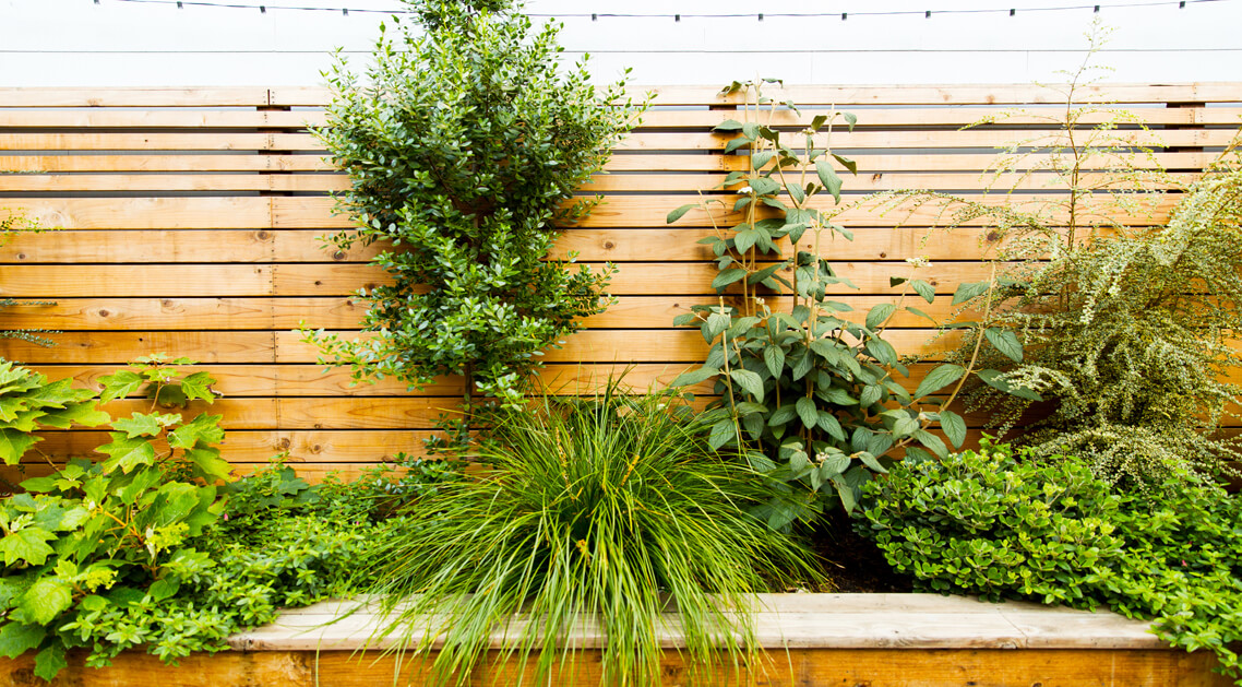 natural wood slat fence with built-in planter and variety of plants.